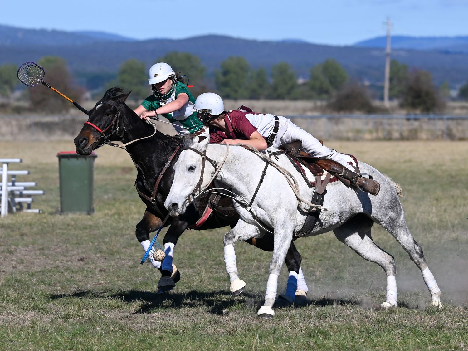 Polocrosse