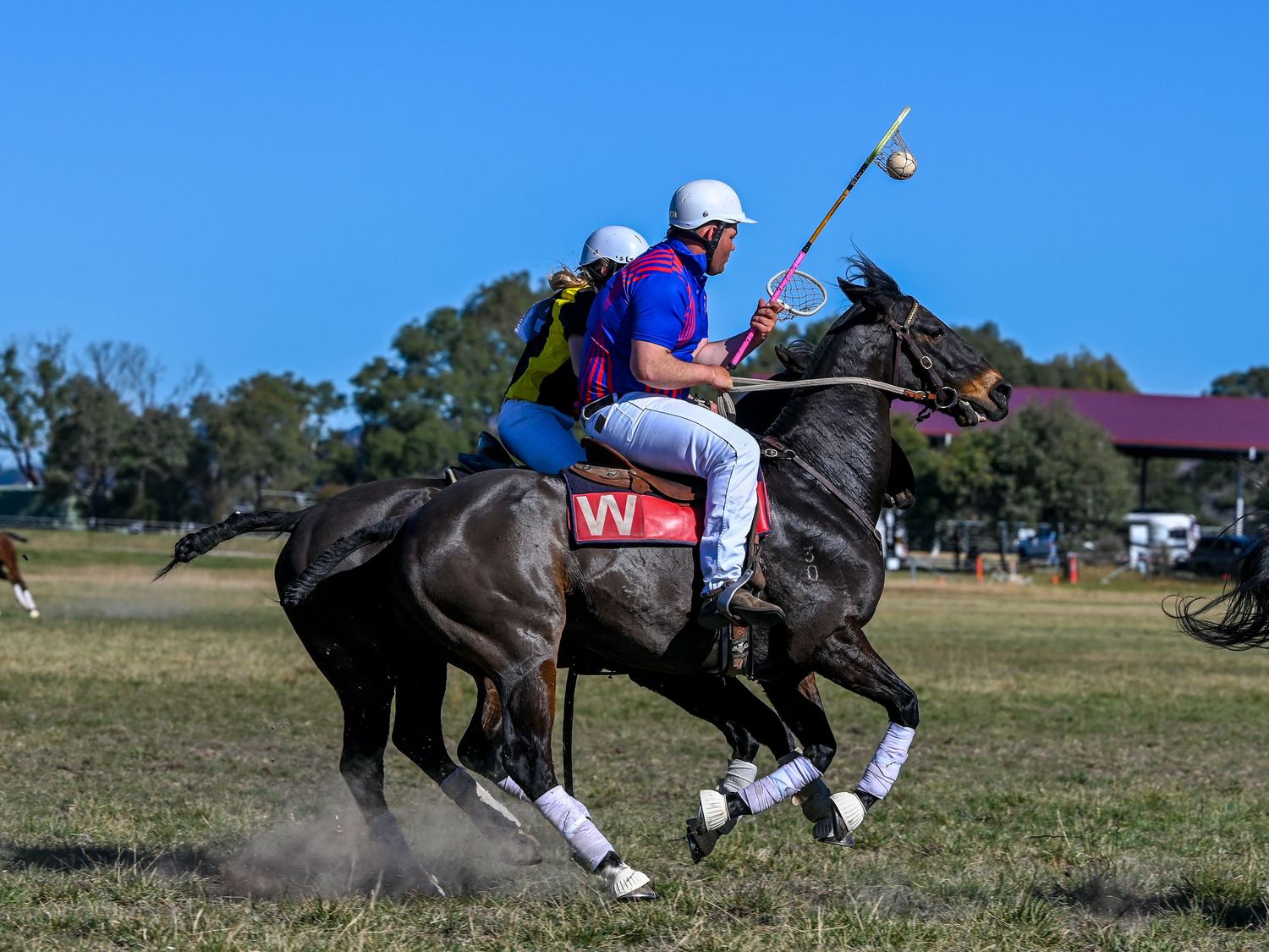 Polocrosse