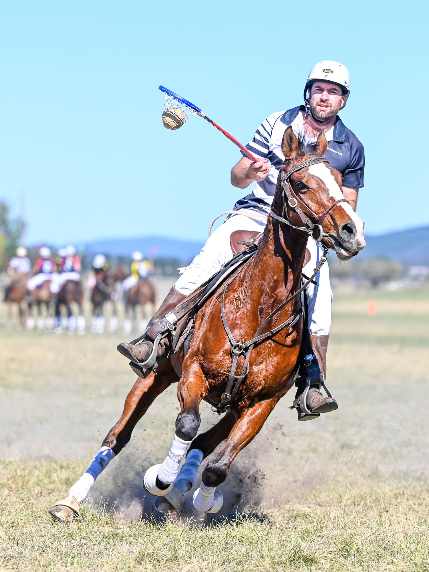 Polocrosse