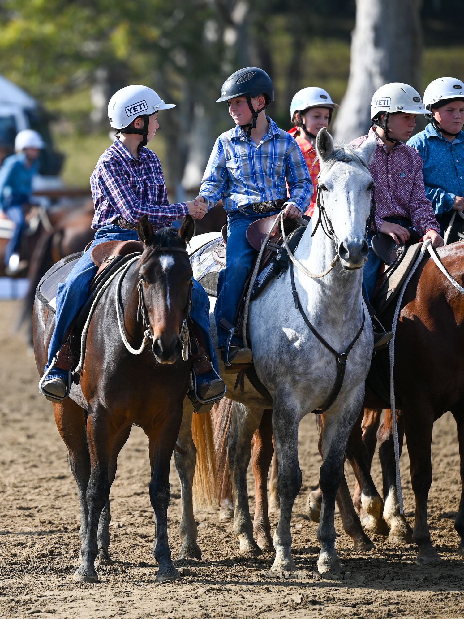 Campdrafting