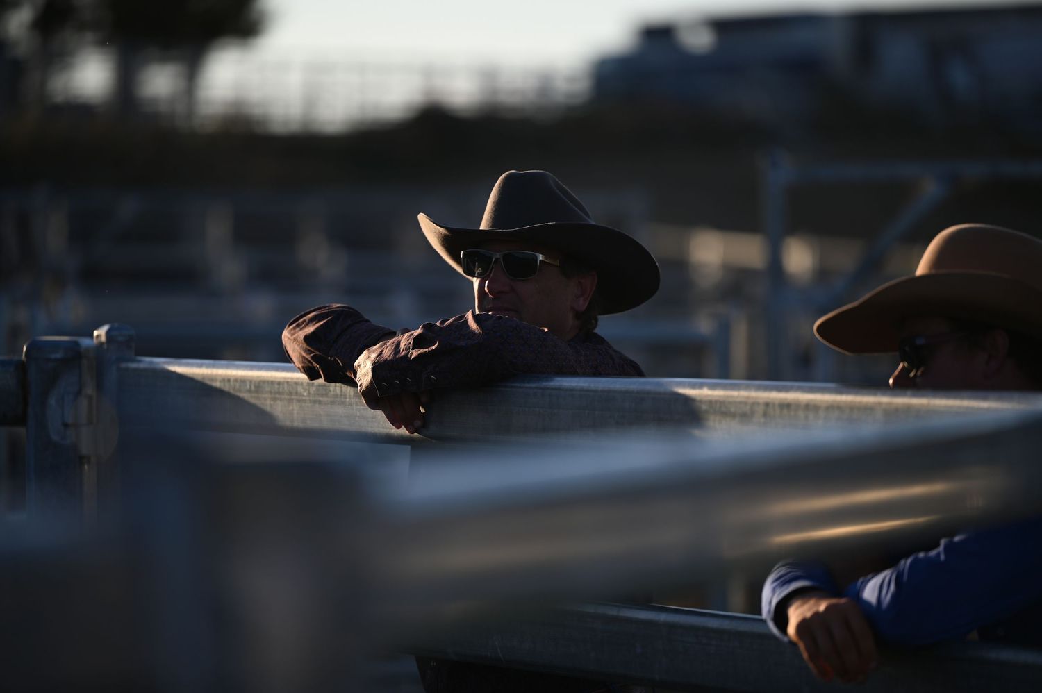Man watching campdrafting