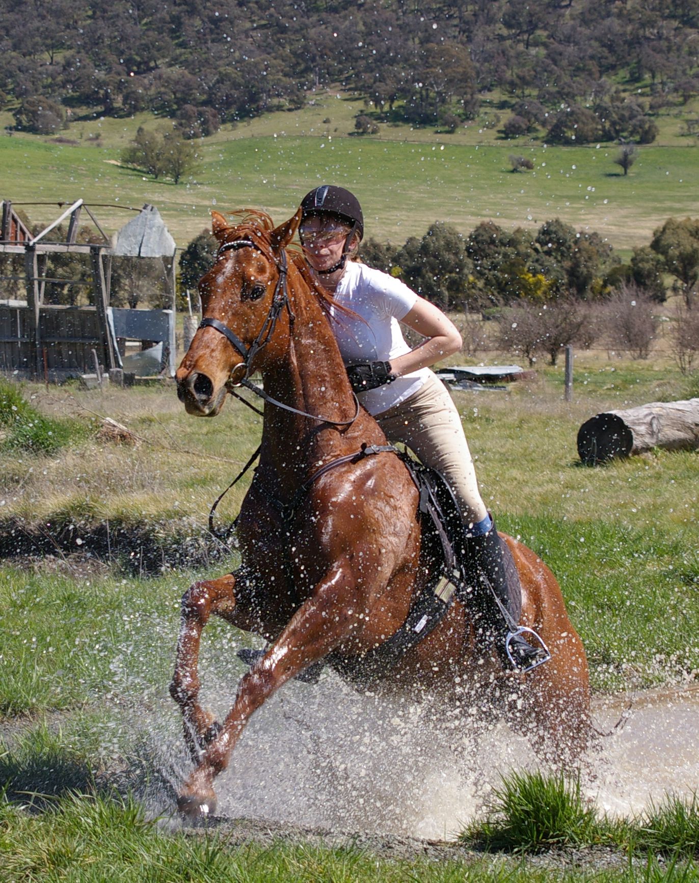 Cross country jumping