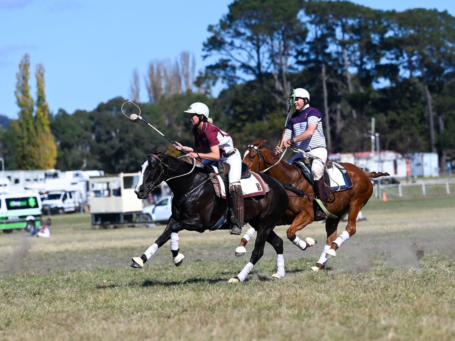 Polocrosse