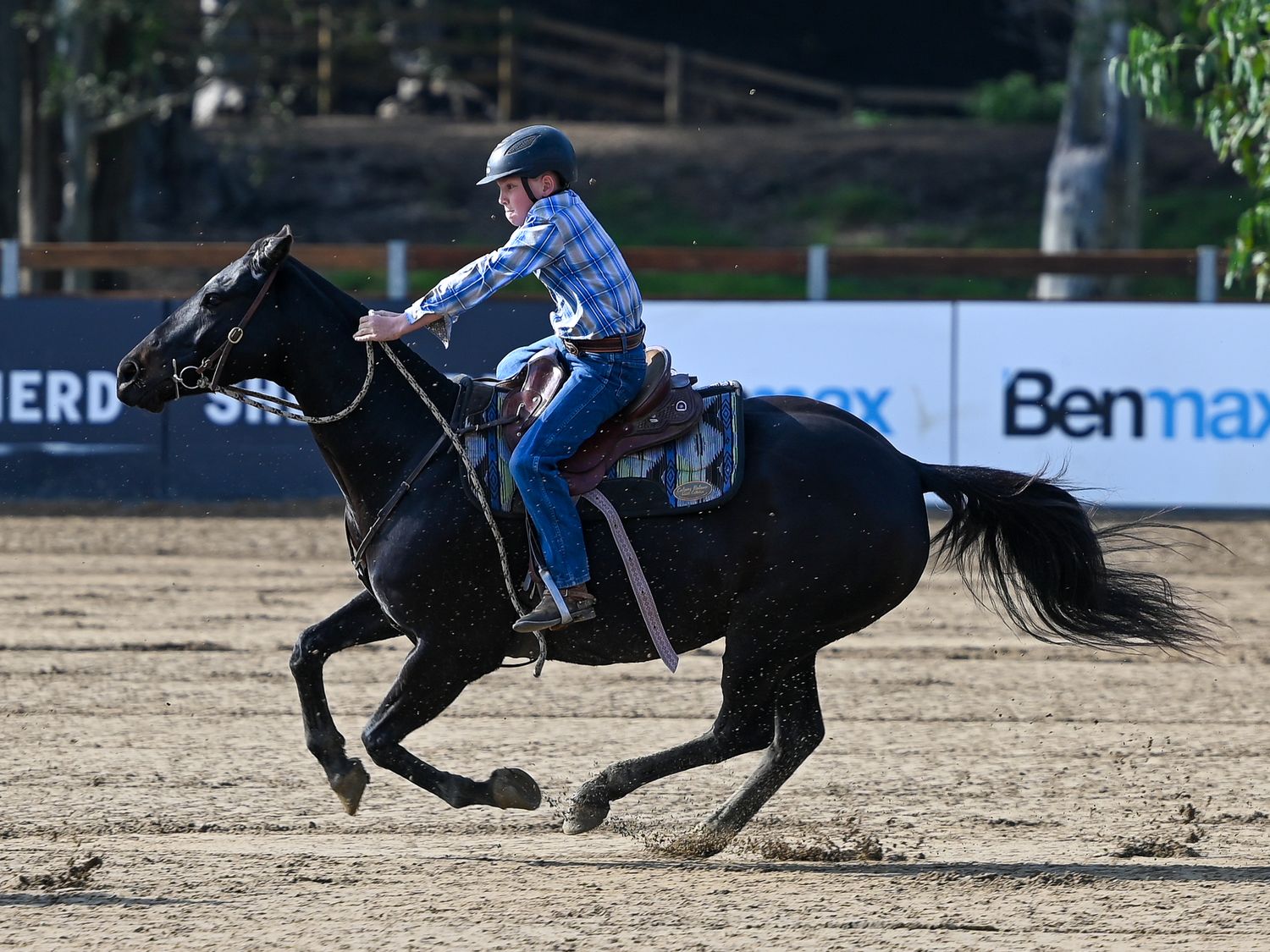 Campdrafting