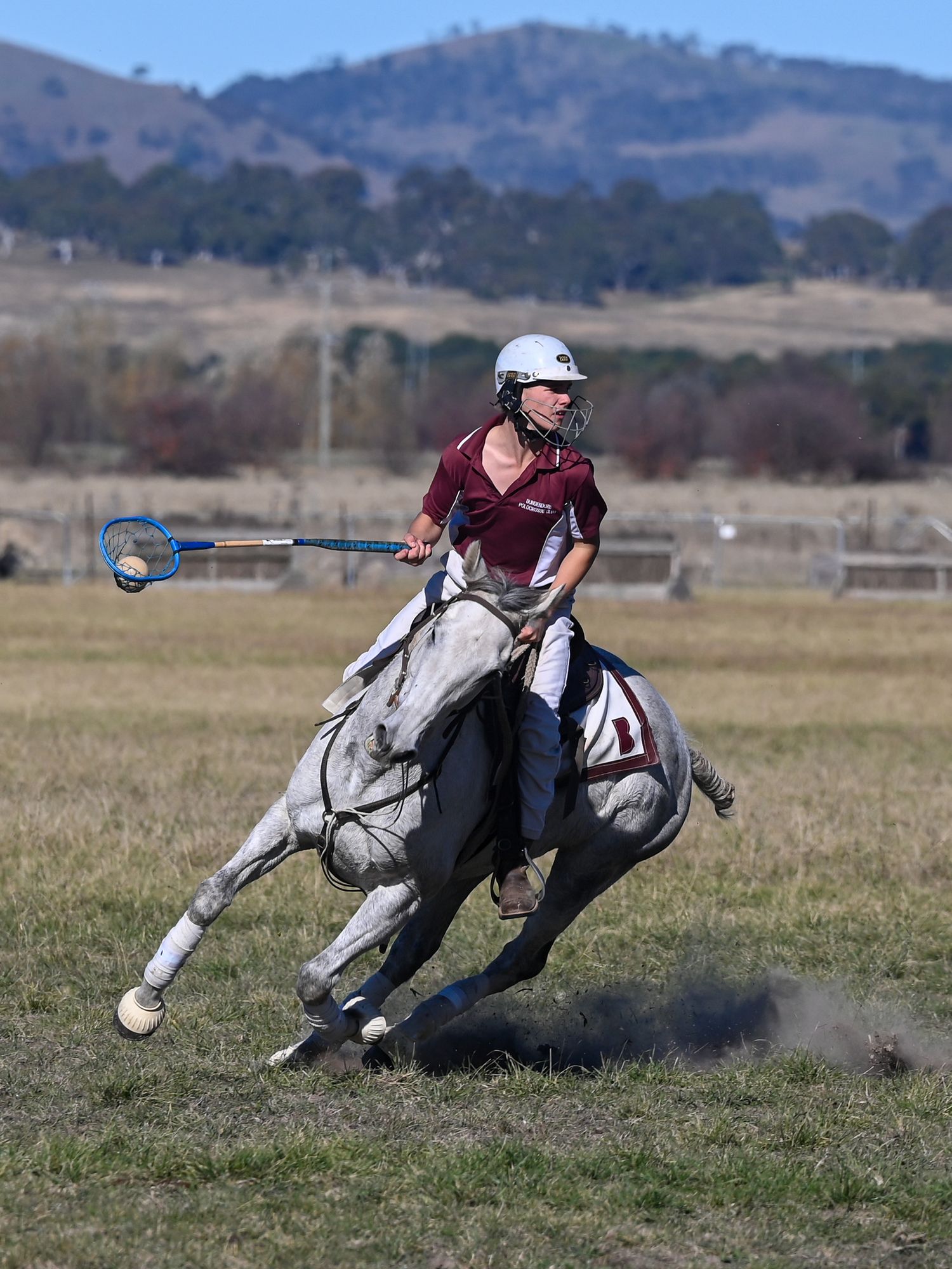 Polocrosse