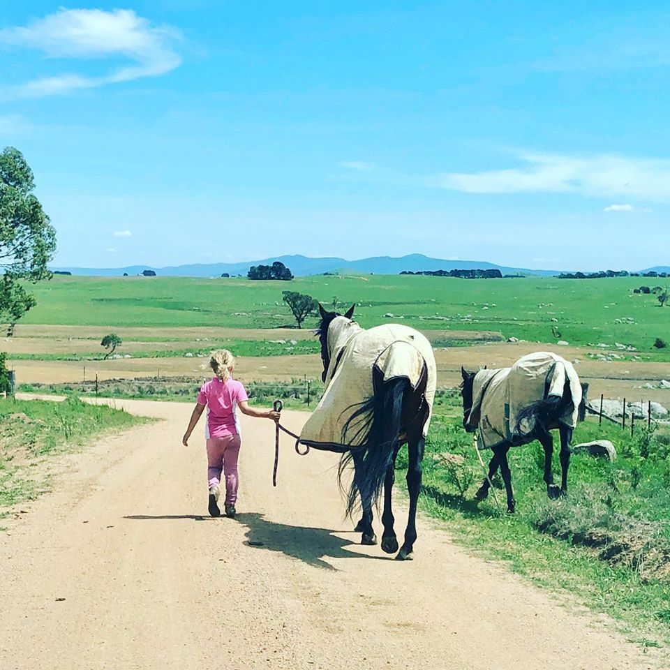 Girl with horses