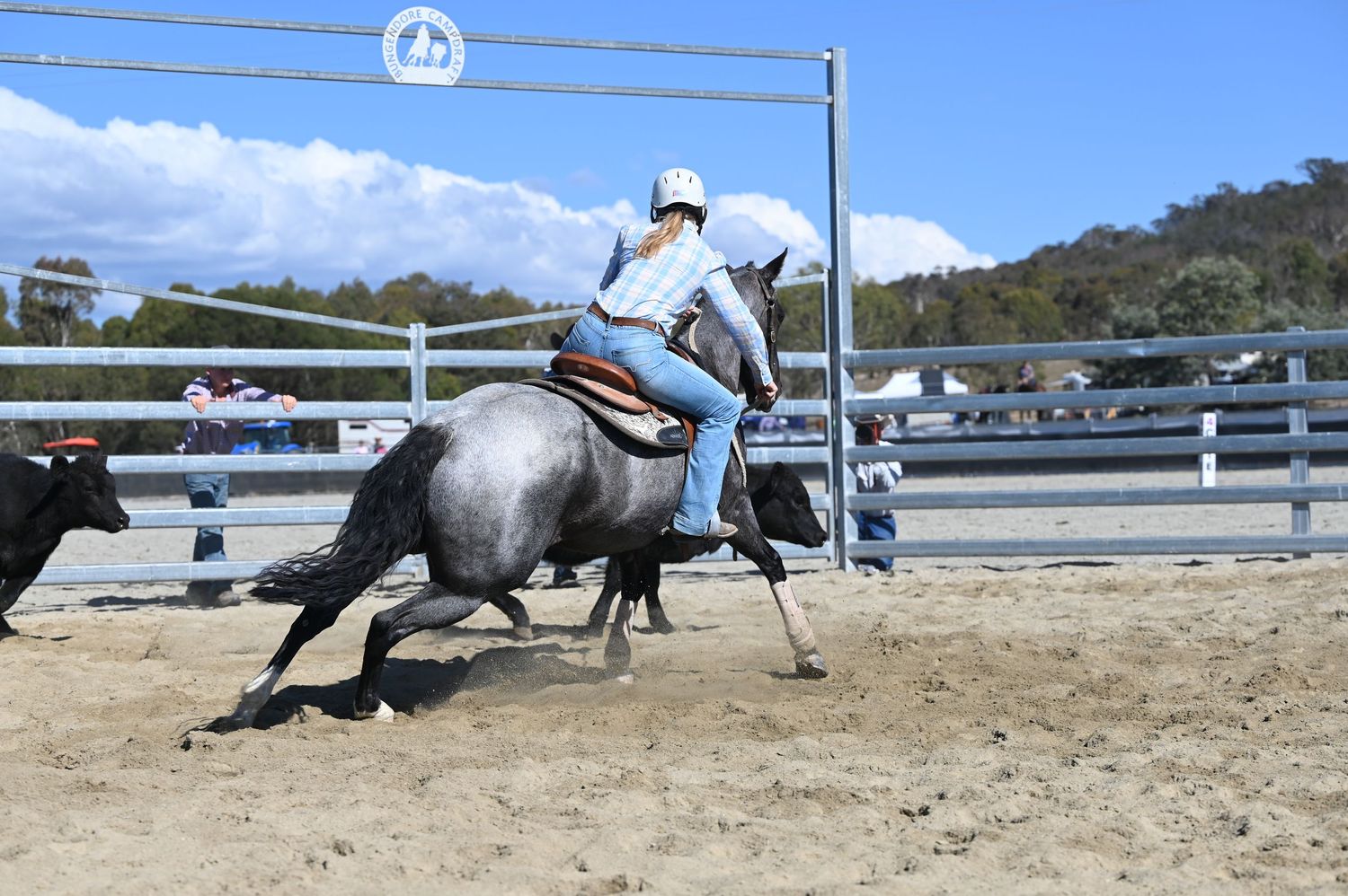 Campdrafting