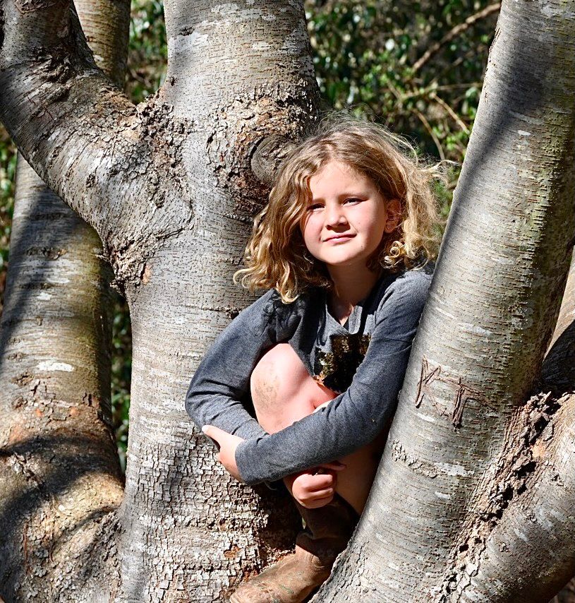 Girl in a tree