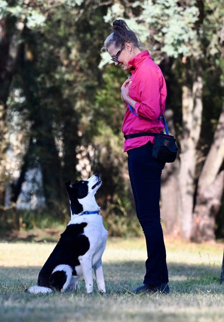 Dog and owner