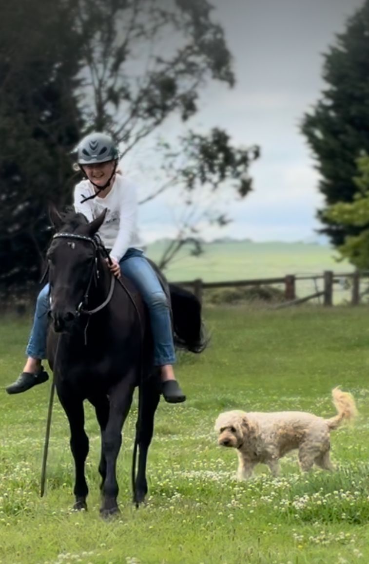 Girl with horse and dog