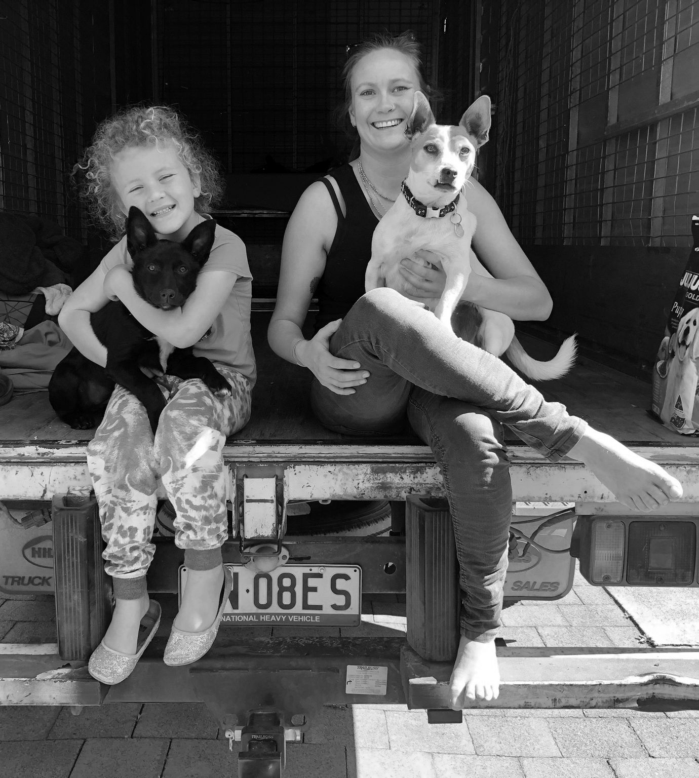 Friends with dogs