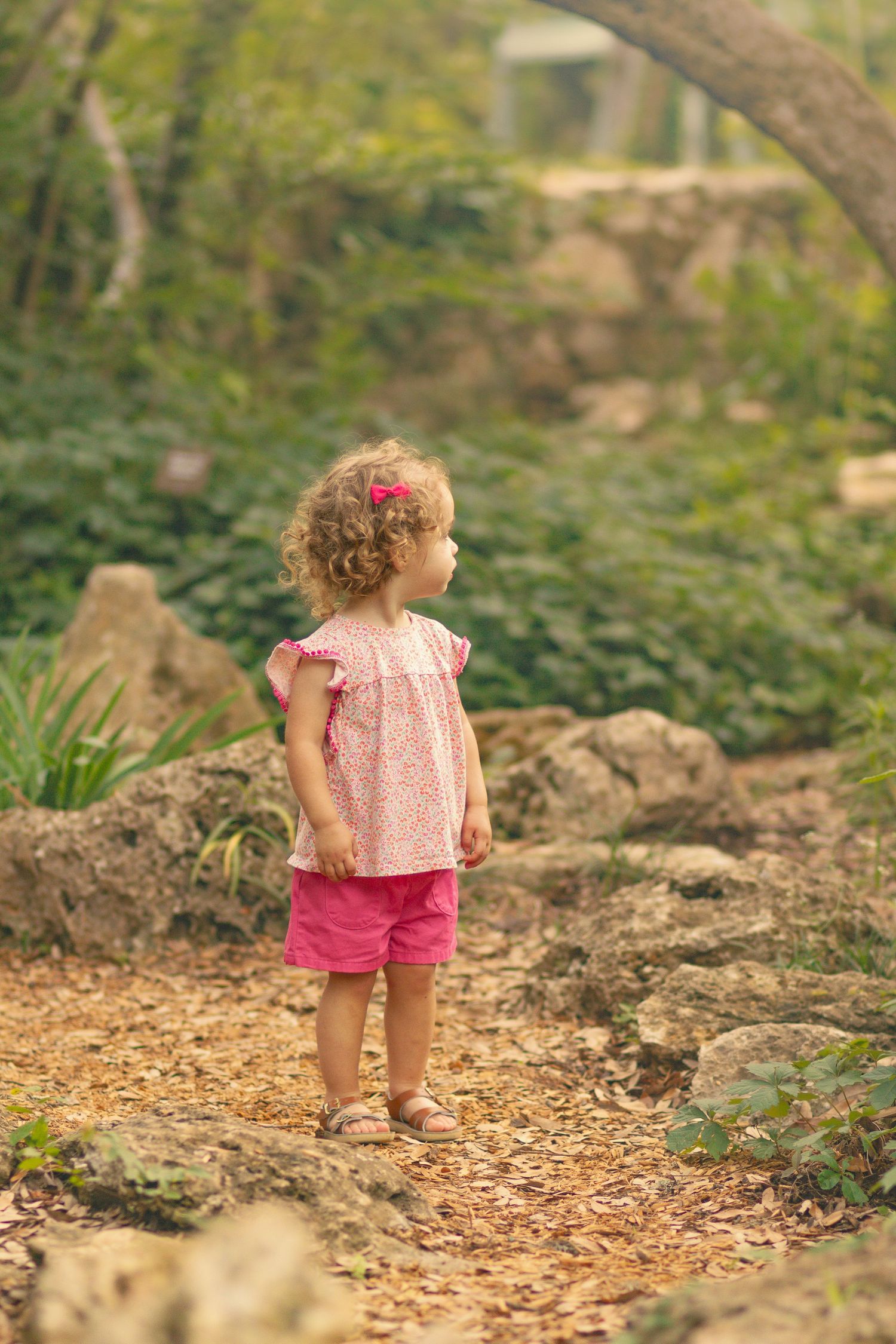 Toddler girl in pink outfit standing on a woodland path surrounded by rocks and lush green foliage.