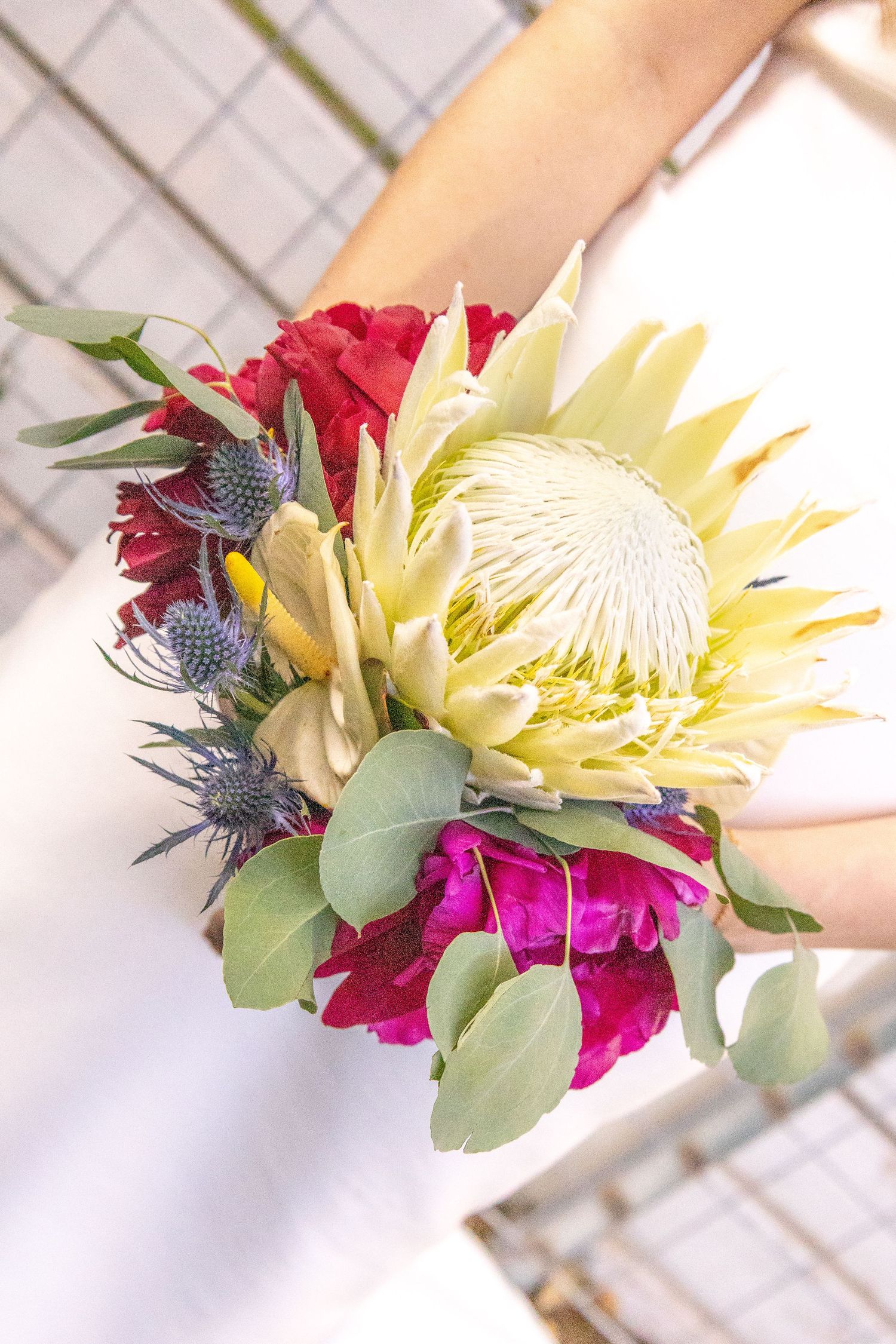 Bride holding a vibrant bouquet featuring a cream King Protea, magenta peonies, blue thistle, and eucalyptus leaves.