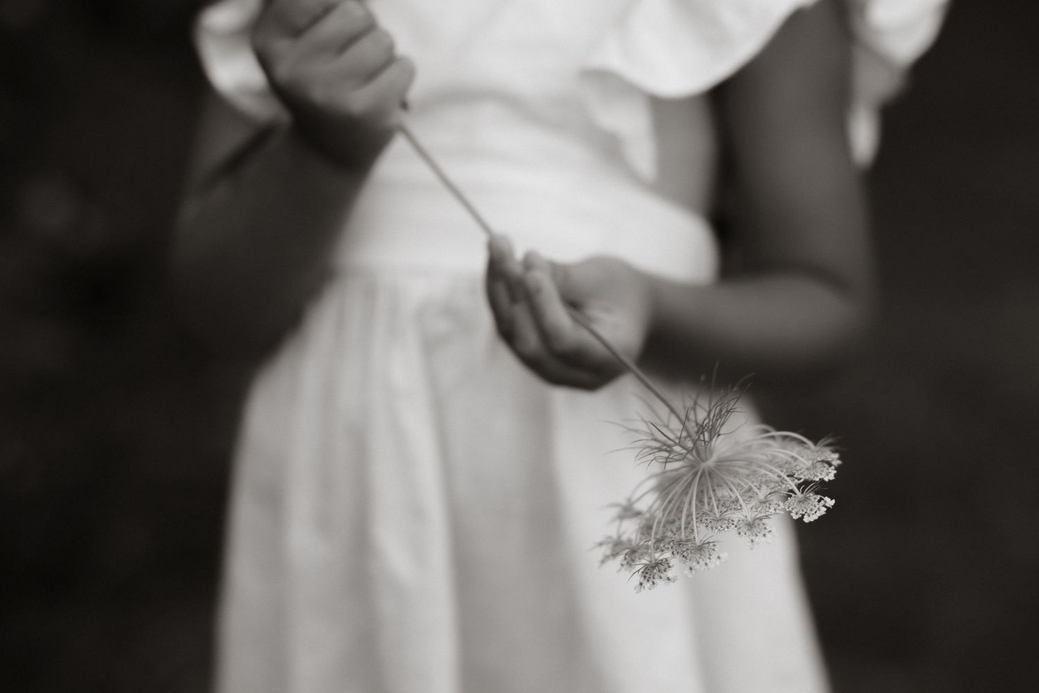 A delicate black and white image of a white dress with lace details swaying in soft motion.