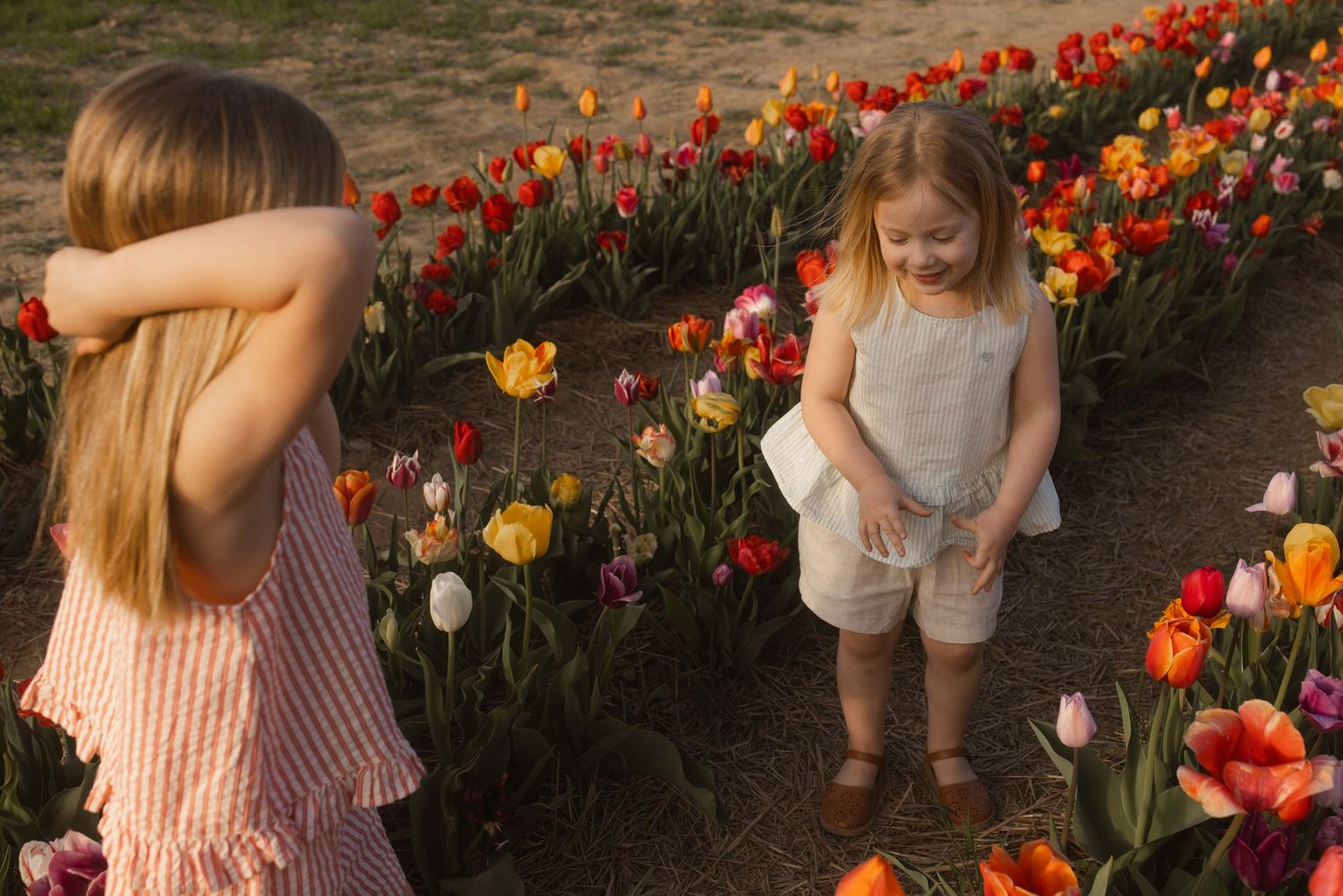 Two figures stand among vibrant orange and red tulips in a garden at sunset.