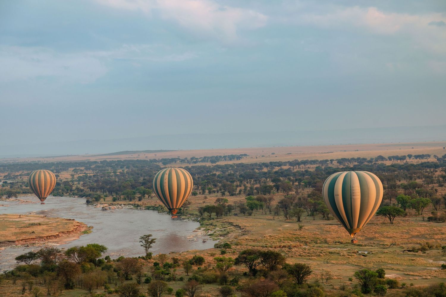 Cinematic lifestyle photograph of the safari experience in Serengeti, specialising in tourism brand storytelling and high end travel content
