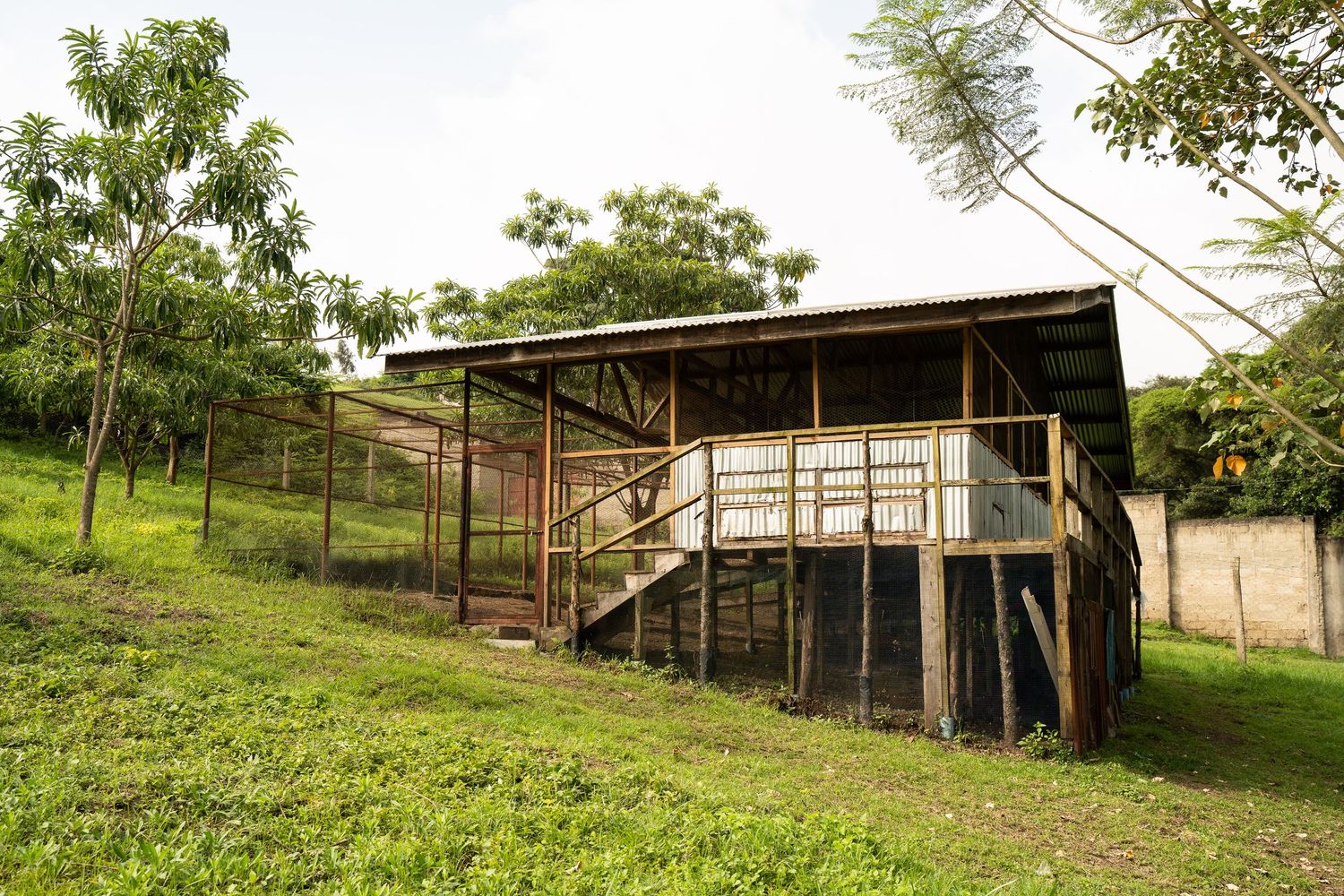 Community & conservation photography, conservation media content, conservation film making, NGO cinematic film and photography content