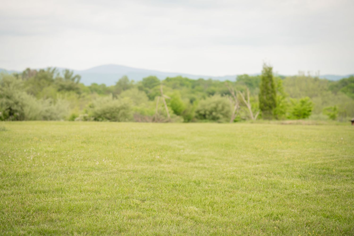 Outdoors
Mountains
Lexington, VA
Buena Vista, VA
Photography 
Kaitlyn Reese Photography