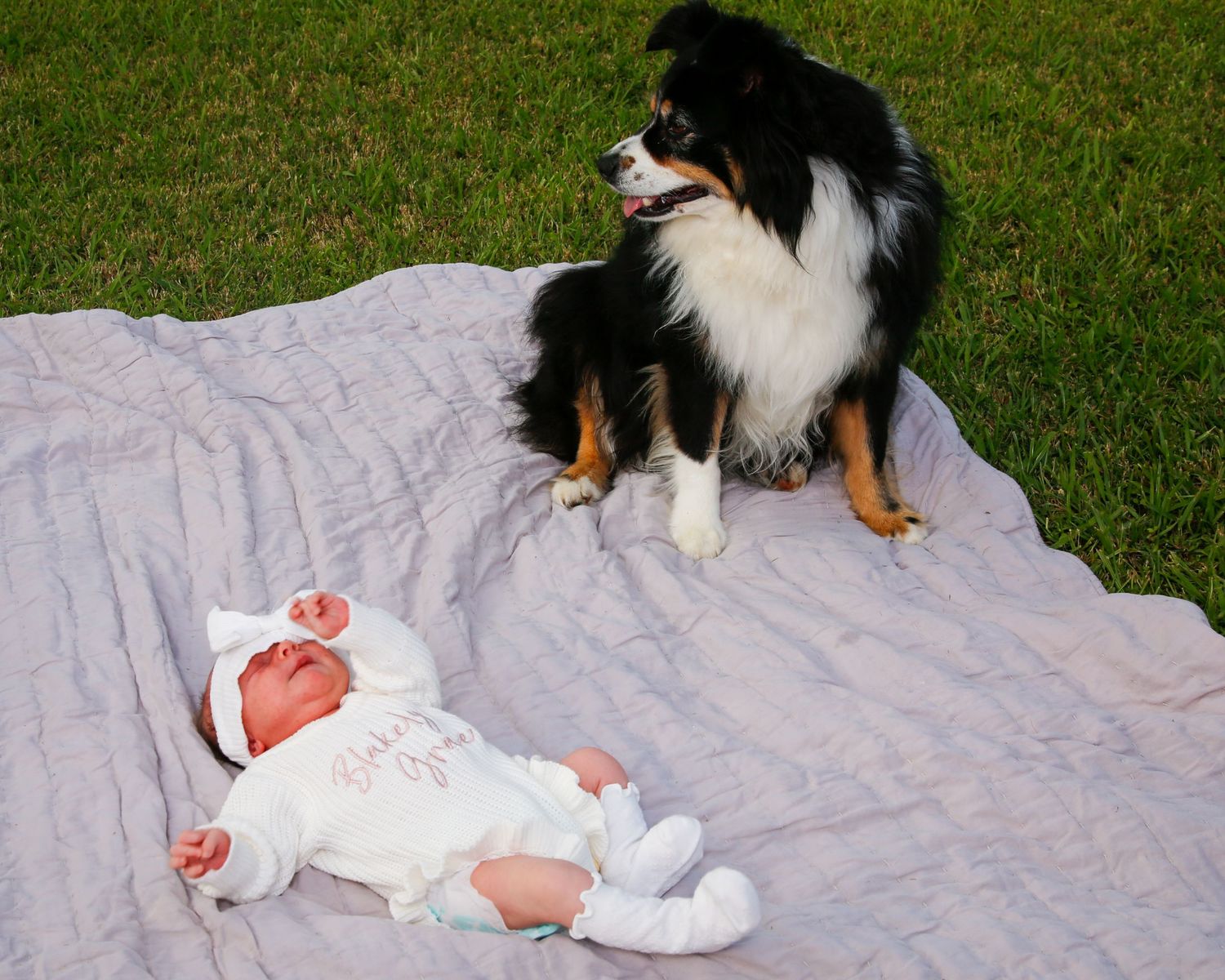 Border collie dog sits on blanket next to baby lying on grass.