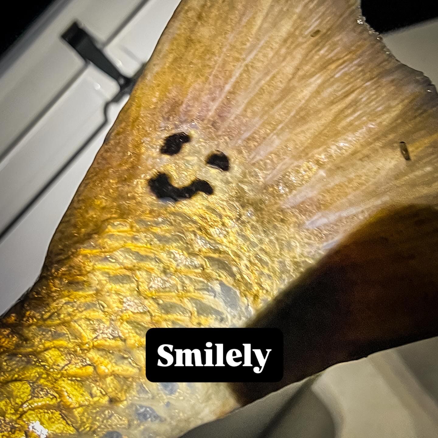 A close-up view of a yellow fish with a smiley face drawn on its scales, plus a text overlay reading 'Smiley'.