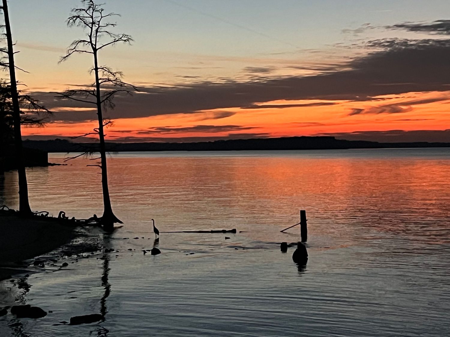 Dramatic orange sunset over water with silhouetted cypress tree and wooden posts in foreground.