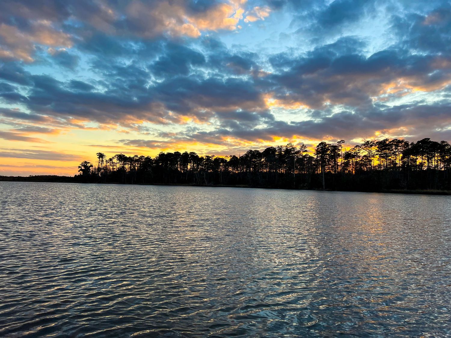 Scenic lake panorama at sunset with silhouetted trees and vibrant orange and blue sky.