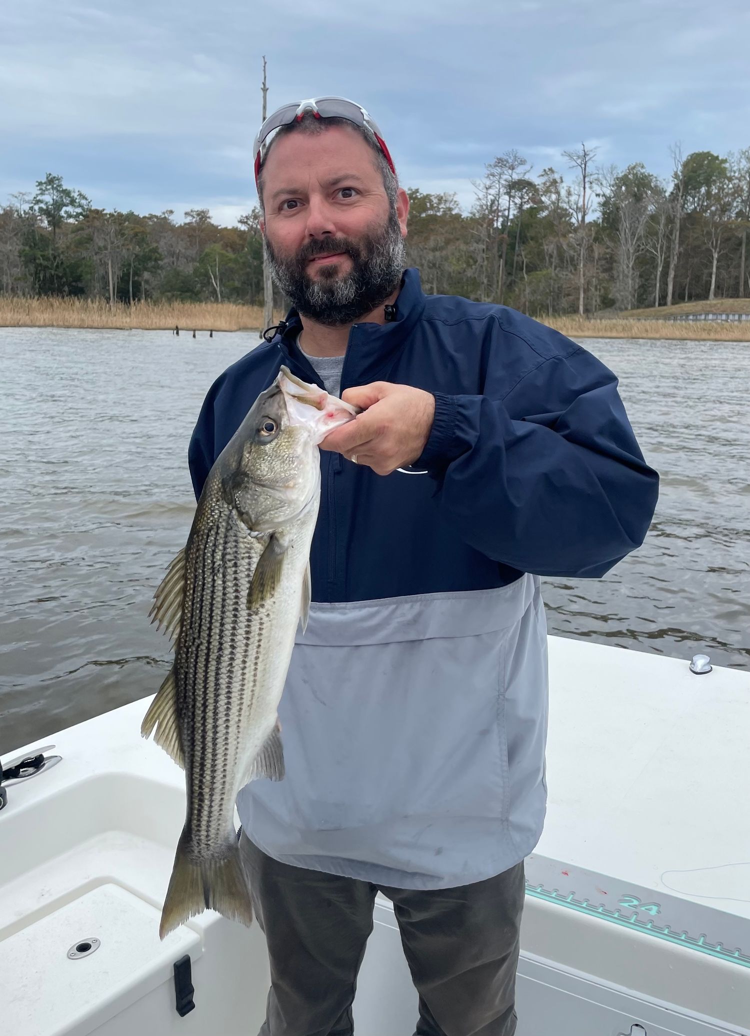 Striped bass being displayed on white boat deck with lake and trees in background.