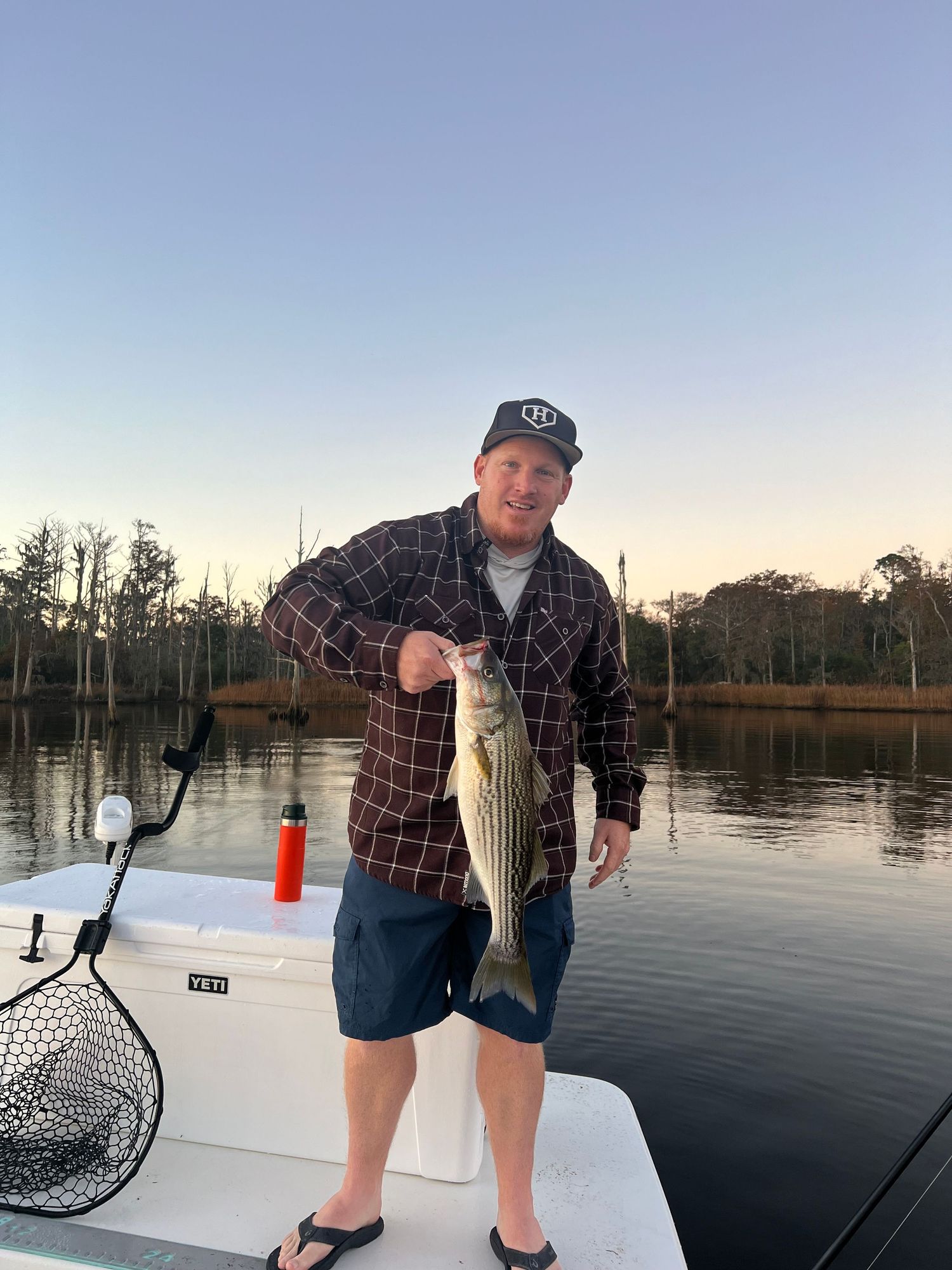 Angler displaying caught striped bass on boat during sunset.