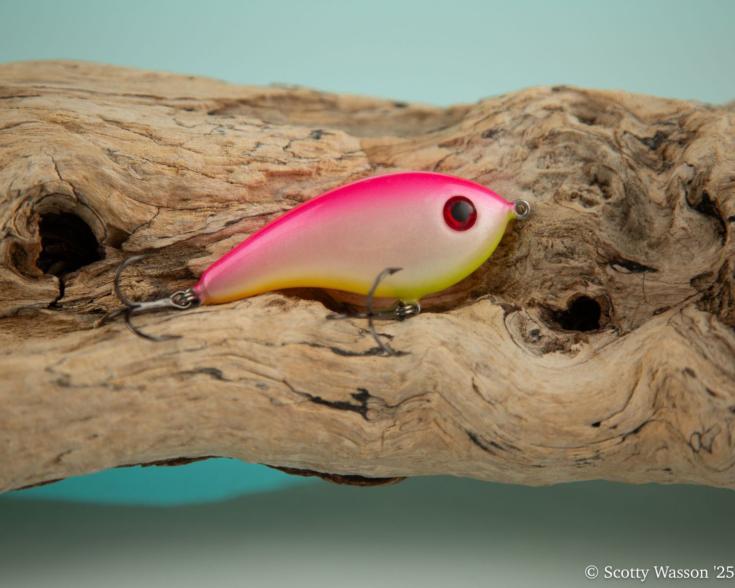 Pink and yellow fishing lure with red eye resting on driftwood against teal background.
