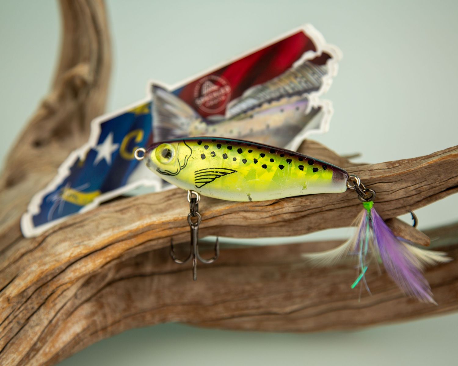 Collection of bright fishing lures arranged on driftwood with vibrant yellow and red colors.