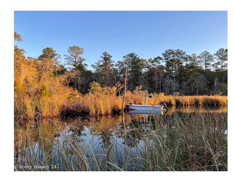 Small boat docked among golden marsh grass and pine trees on a peaceful waterway.