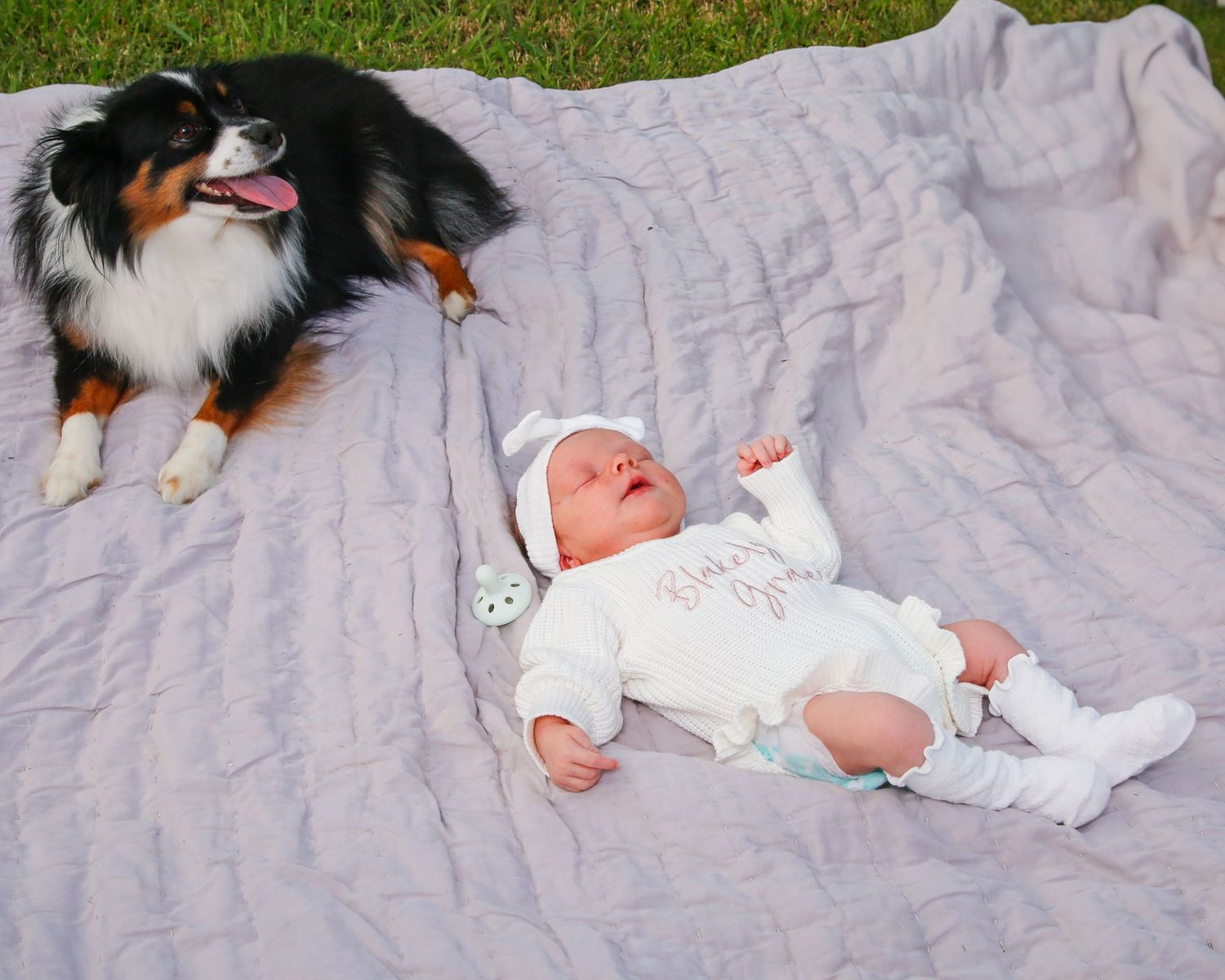 An Australian Shepherd dog lies protectively next to a baby on a lavender blanket outdoors on the grass.