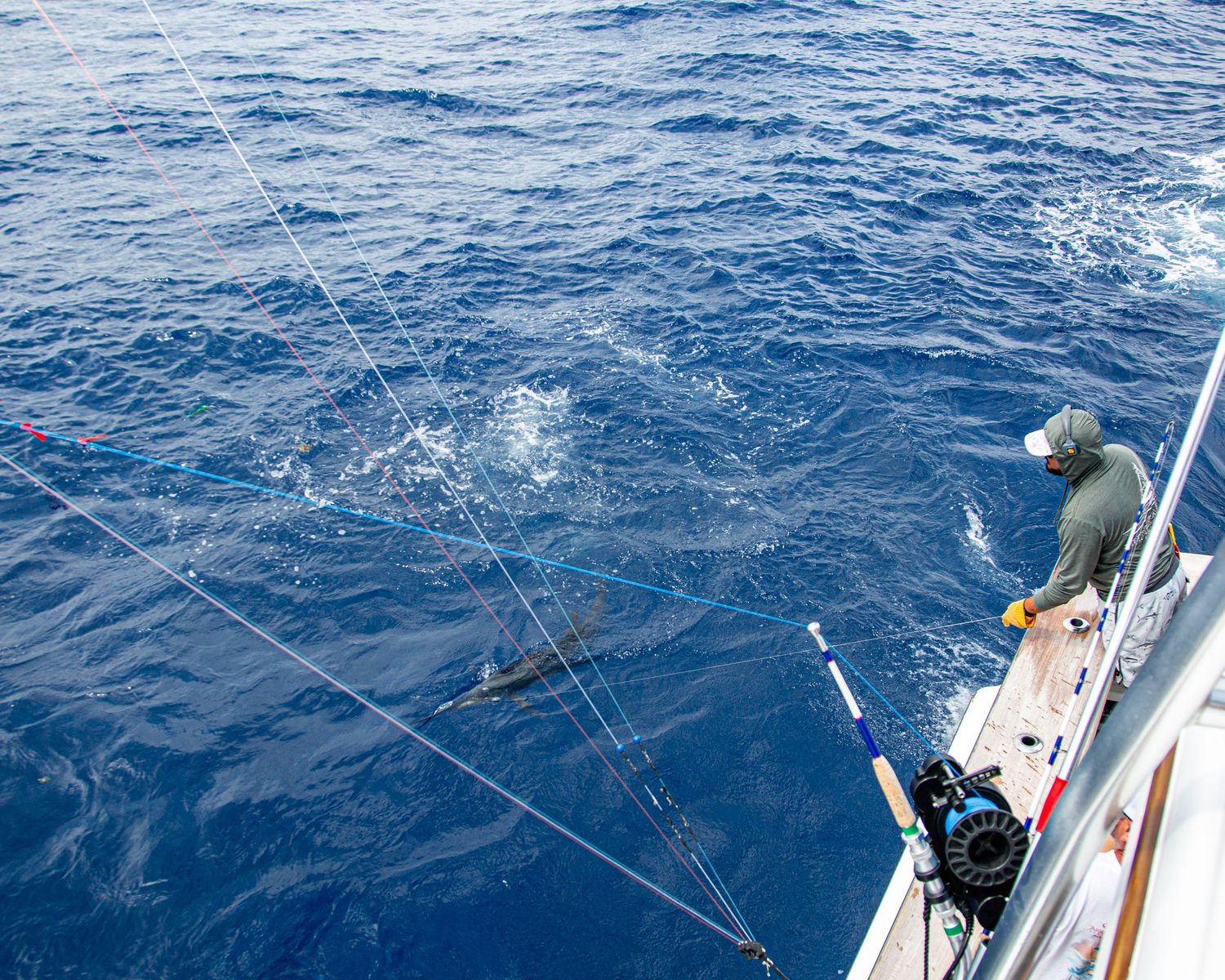 Angler on a boat reeling in a marlin during deep sea fishing on blue ocean waters.