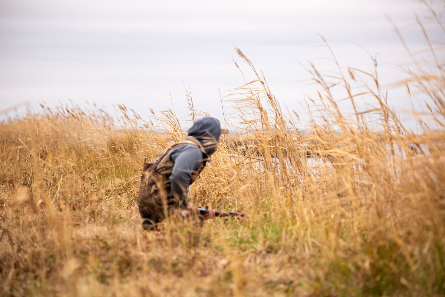 Figures lying low in tall golden grass during an outdoor photo shoot or hunting session.