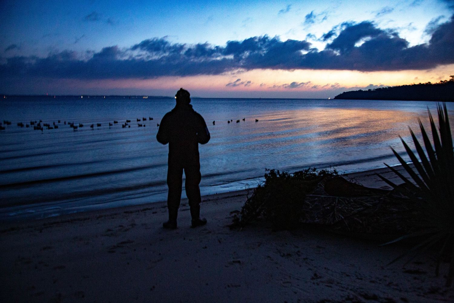 Silhouette of angler watching sunset over water with birds flying in distance.