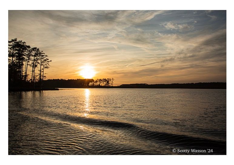 Golden sun setting behind pine trees on lake shore with calm waters and muted sky.