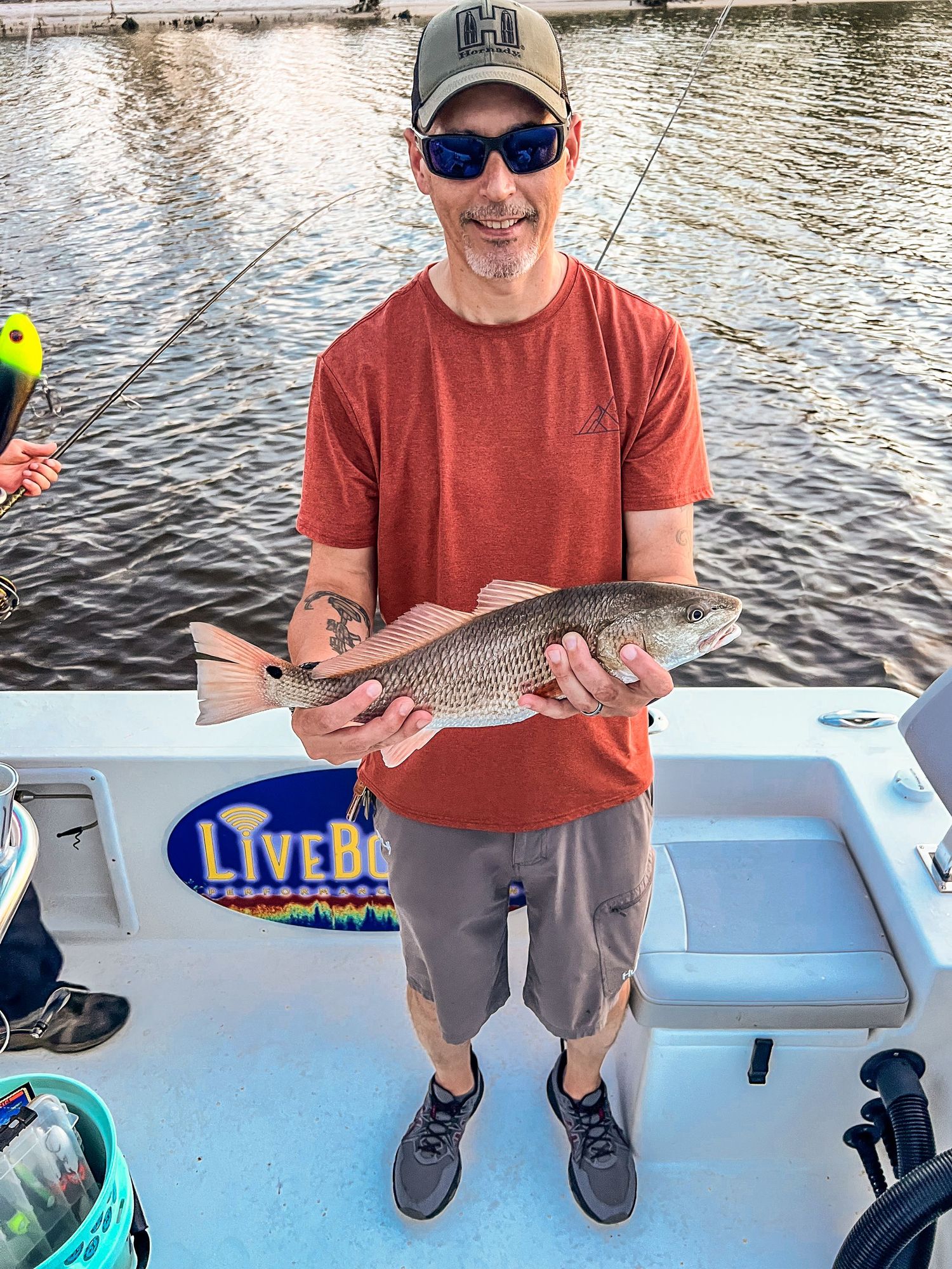 Multiple photos of fishing catches on a blue and white boat deck during daytime.
