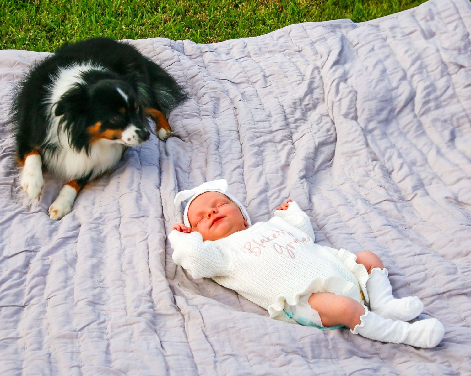 Small dog lying on white bedding in a sequence of photos showing different playful poses and stretches.