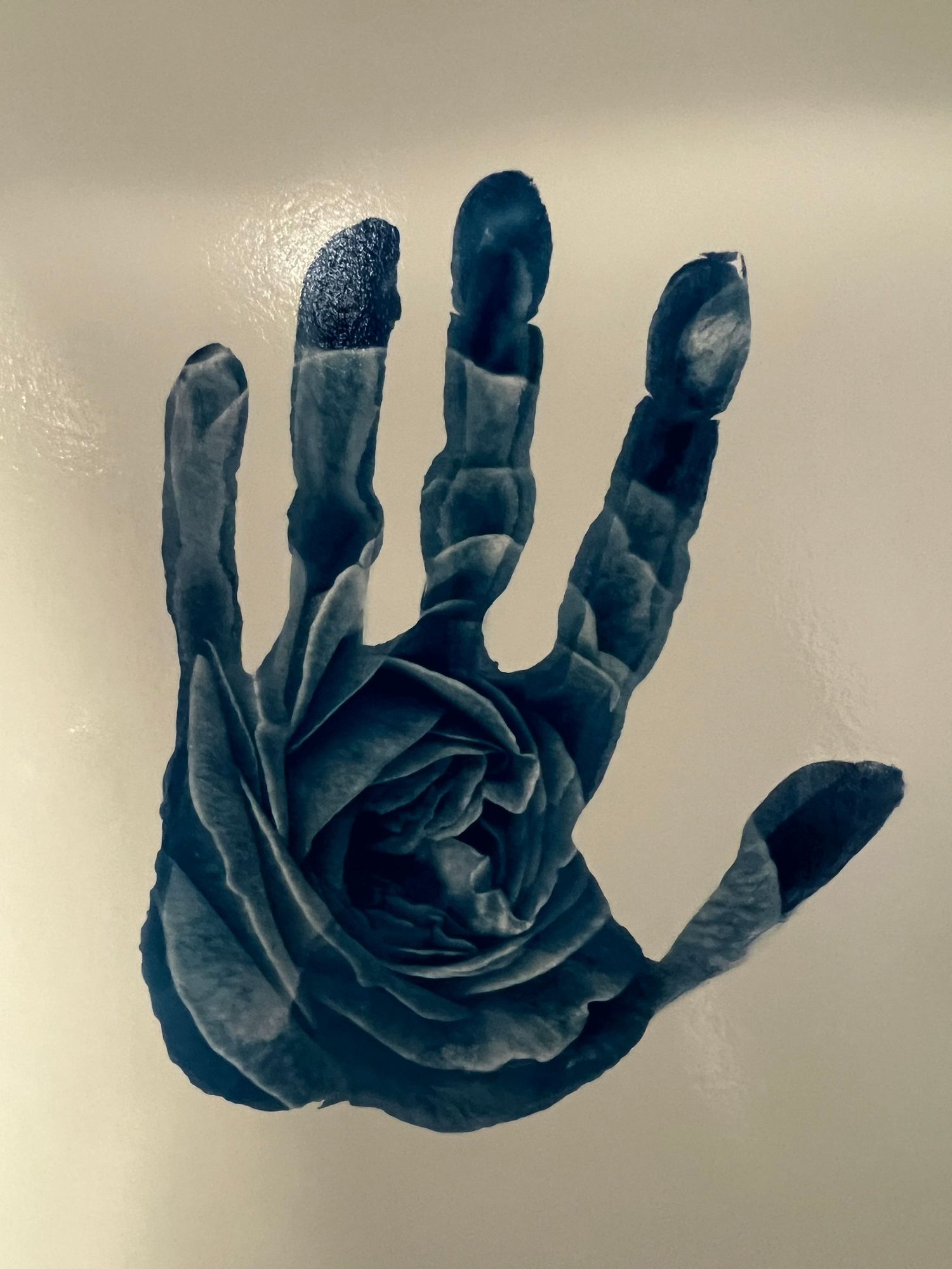 Abstract cyanotype prints showing curved hand-like shapes in deep blue tones.