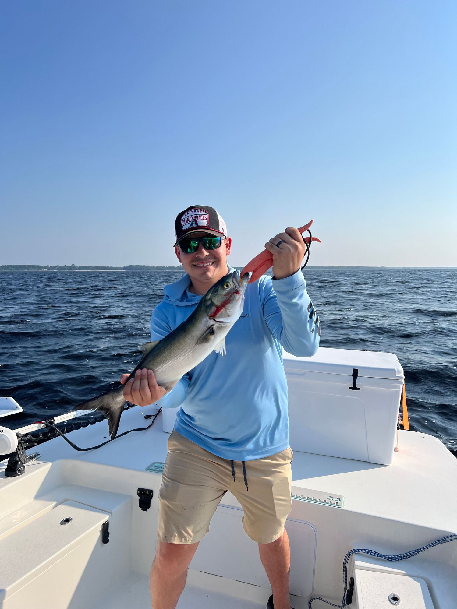 Sport fishing catches being shown off on a boat deck against clear blue skies.