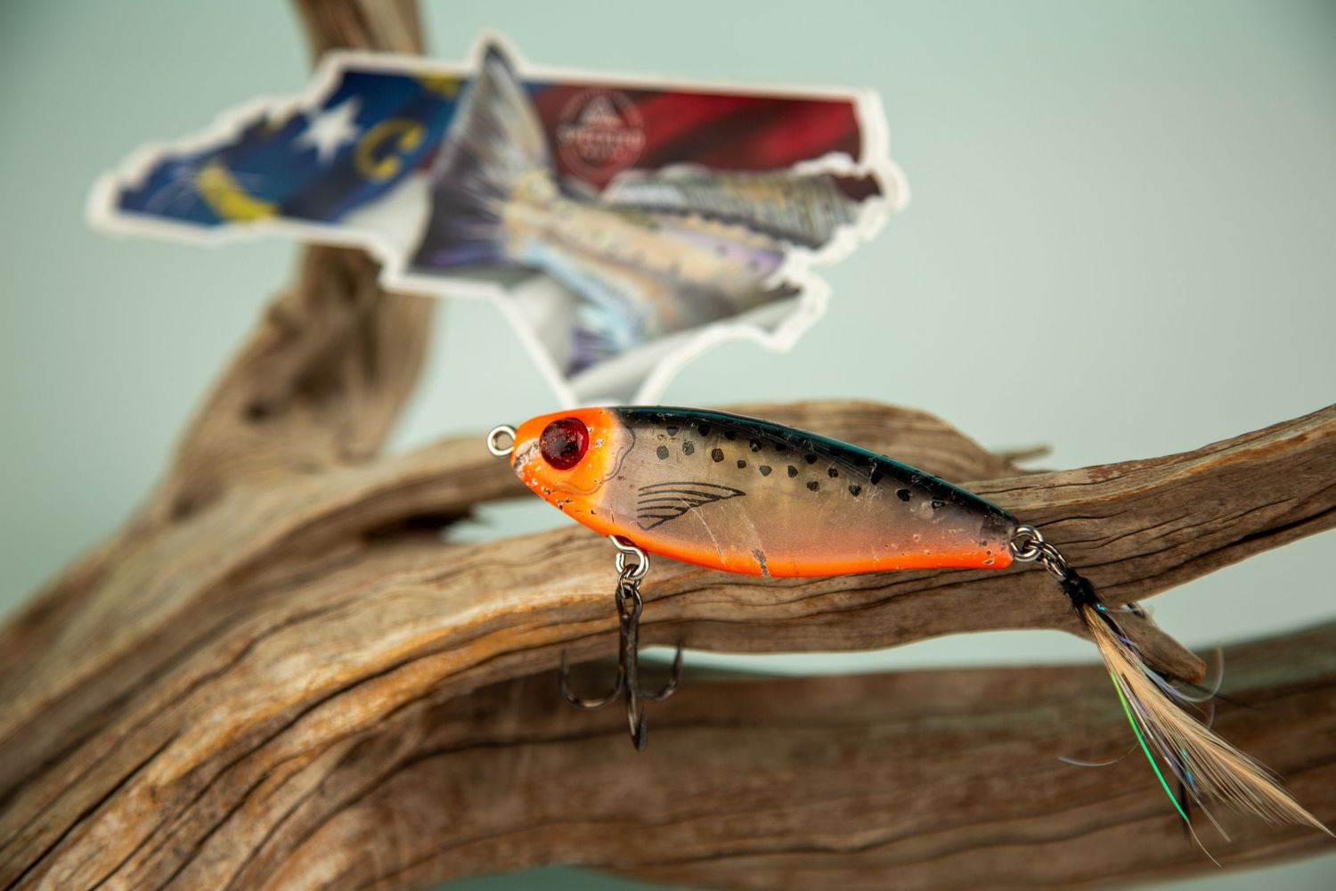 Colorful fishing lures and tackle displayed on a wooden branch against a light background.