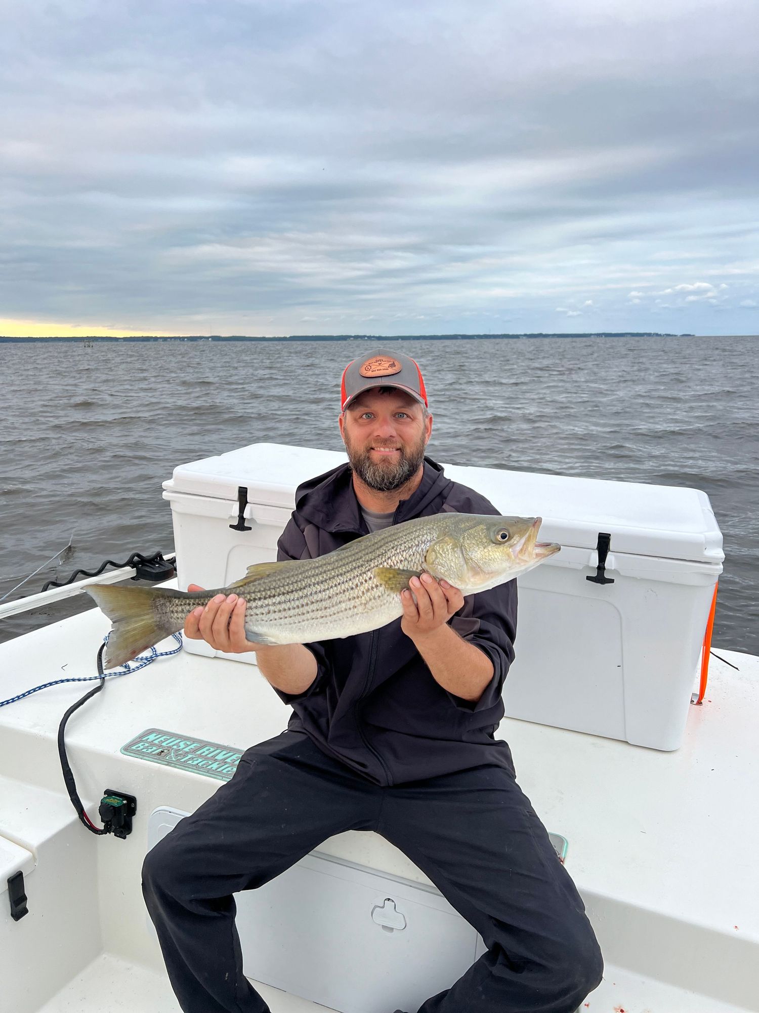 Striped bass catch shown on boat deck against cloudy coastal backdrop.