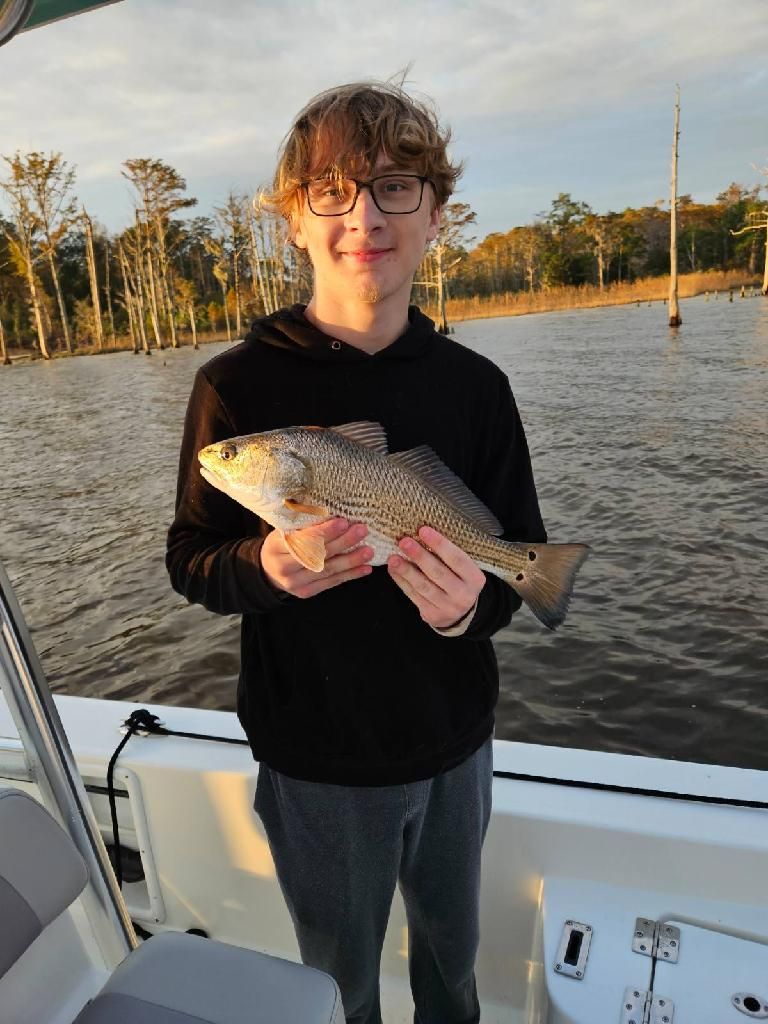 Multiple catch photos showing fish being displayed on boat deck during sunset fishing trip.