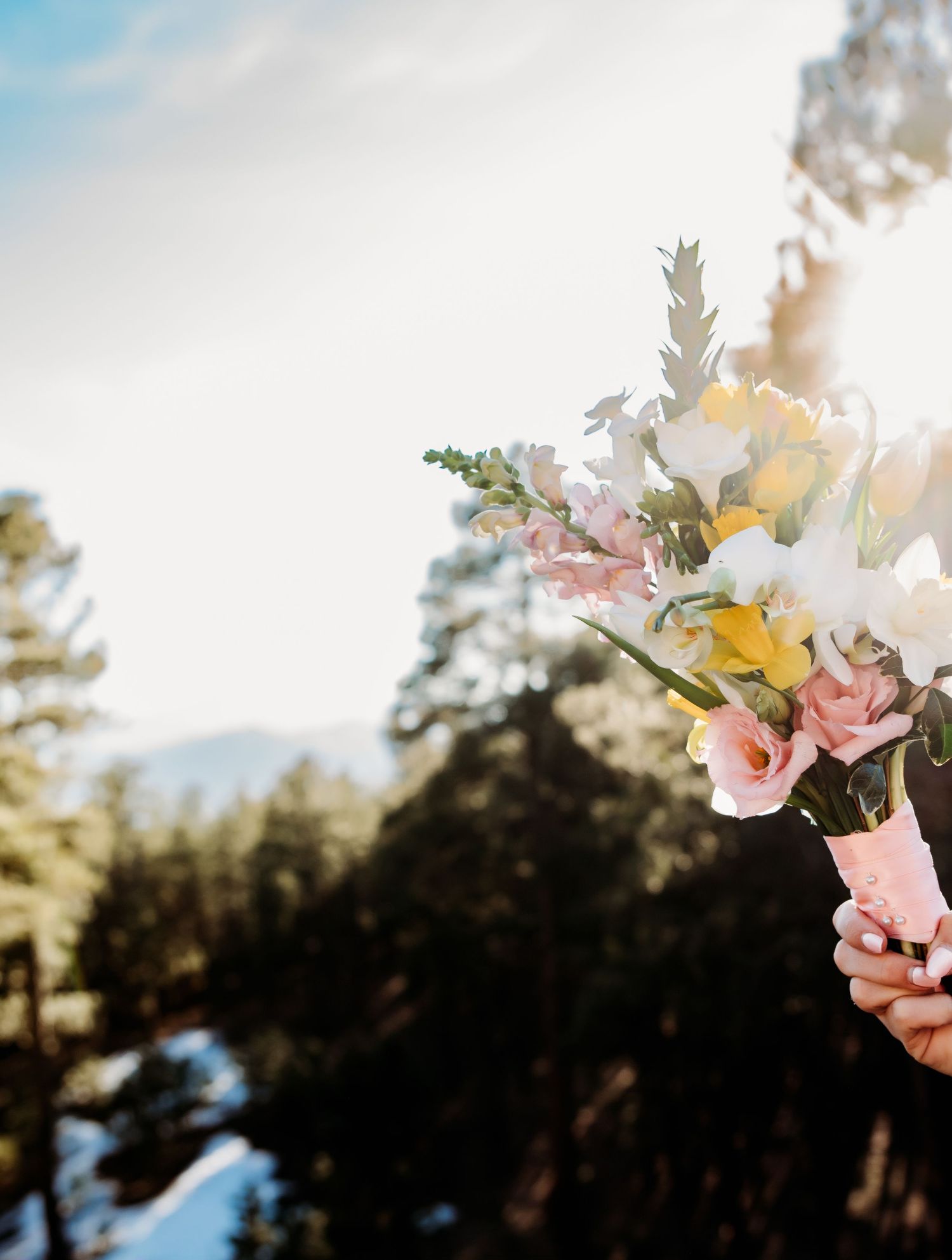 A delicate bouquet of pink, yellow and white flowers held up against a mountain landscape backdrop.