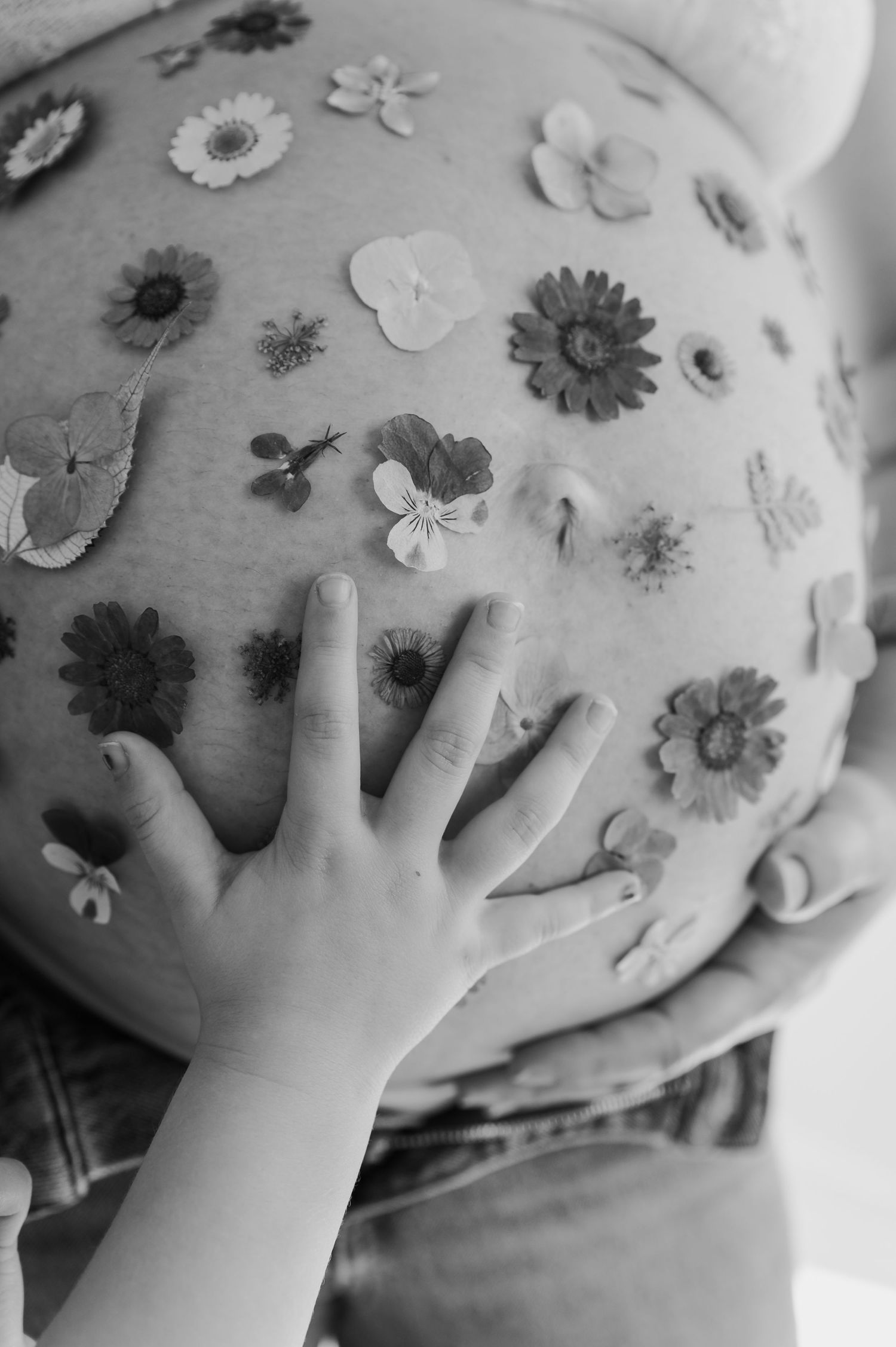 Black and white close-up of small hands touching flowers and white cloth in an artistic arrangement.