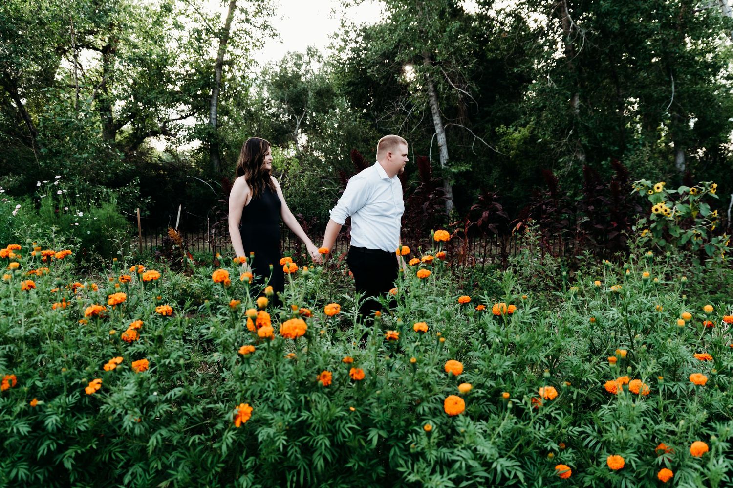 Two people walk through a vibrant garden filled with bright orange marigold flowers and lush greenery.