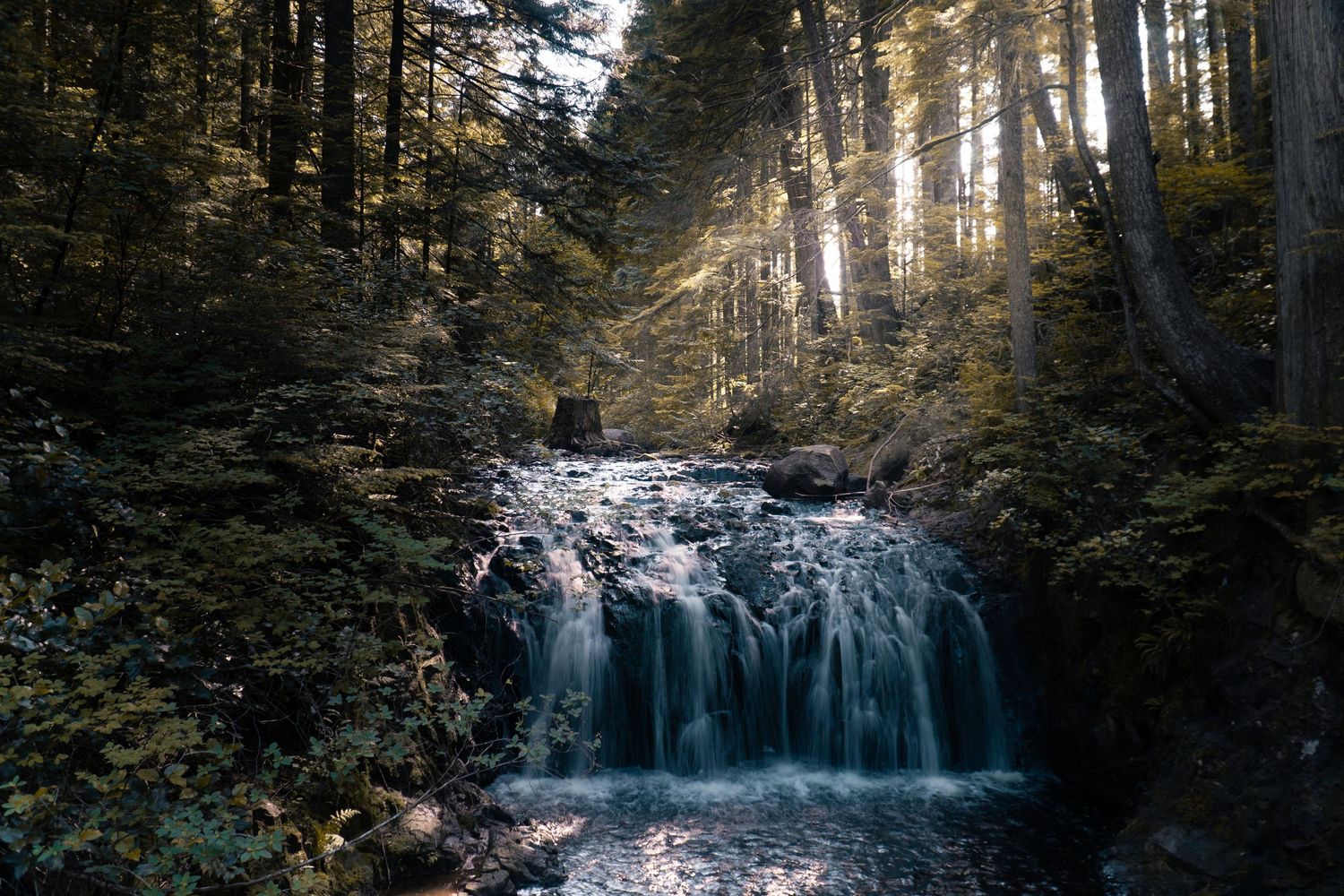 Rolly Lake Water Fall