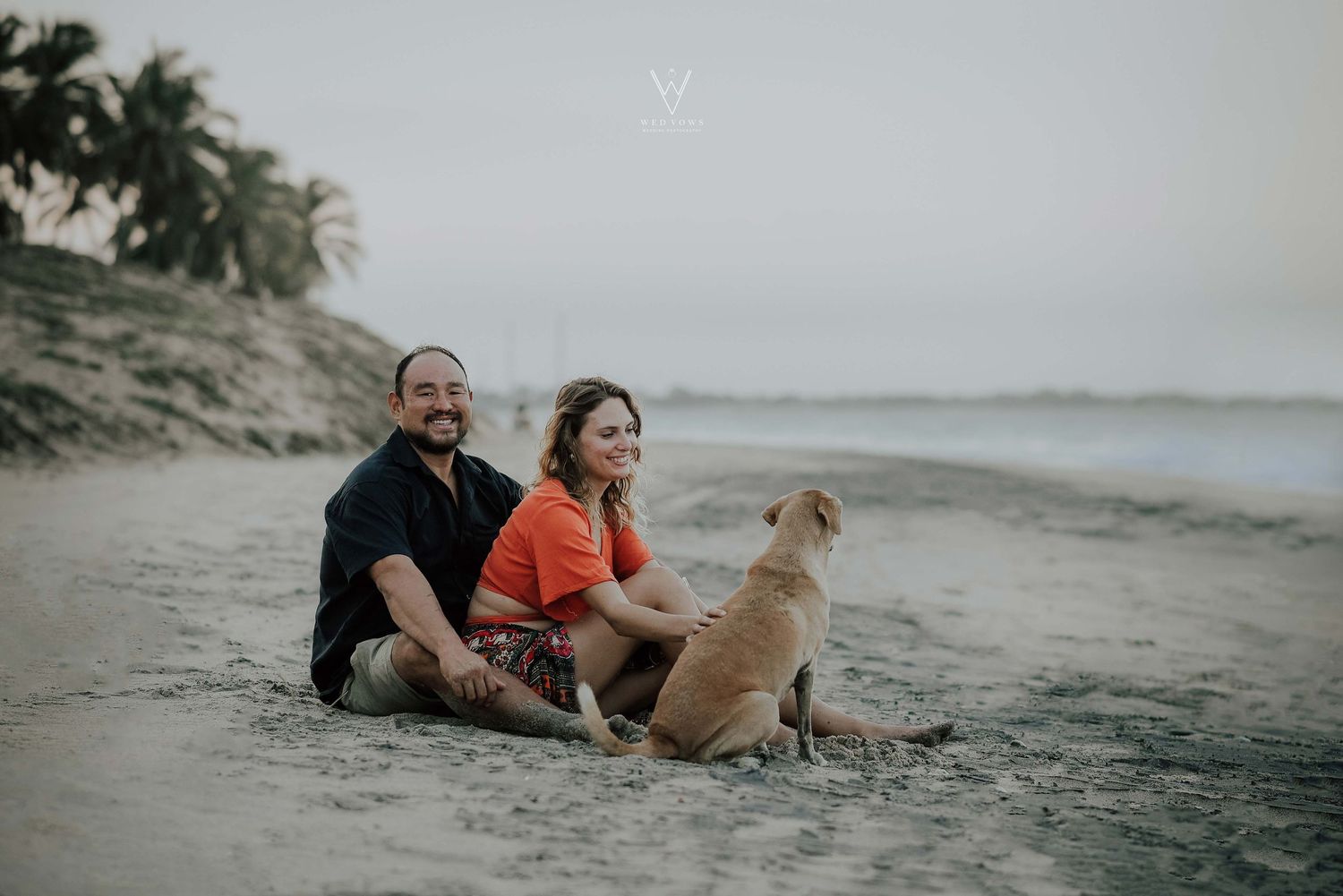 Couple sitting on beach sand smiling with a golden dog beside them.