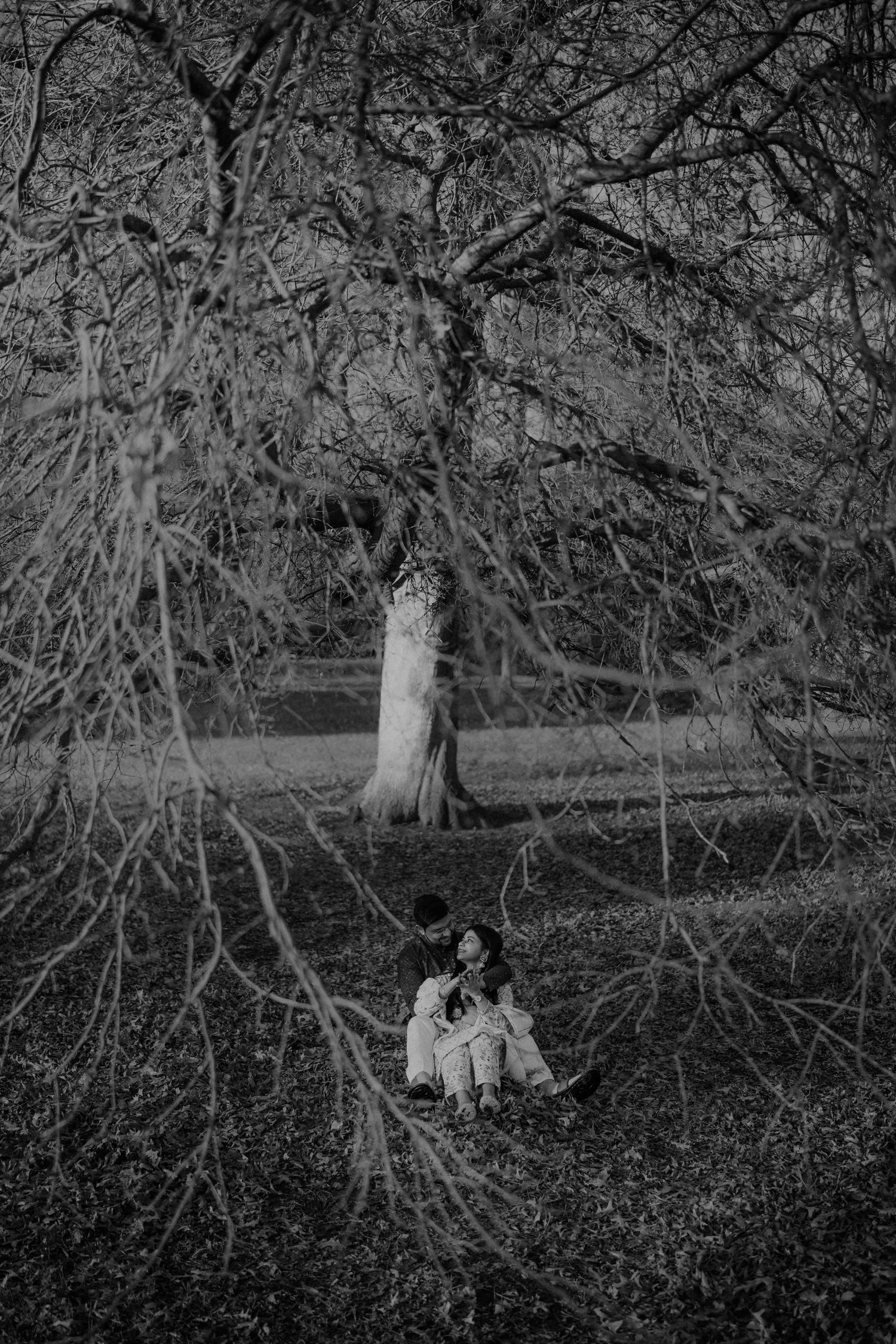 Black and white photo of a couple sitting together under a large bare tree surrounded by branches.