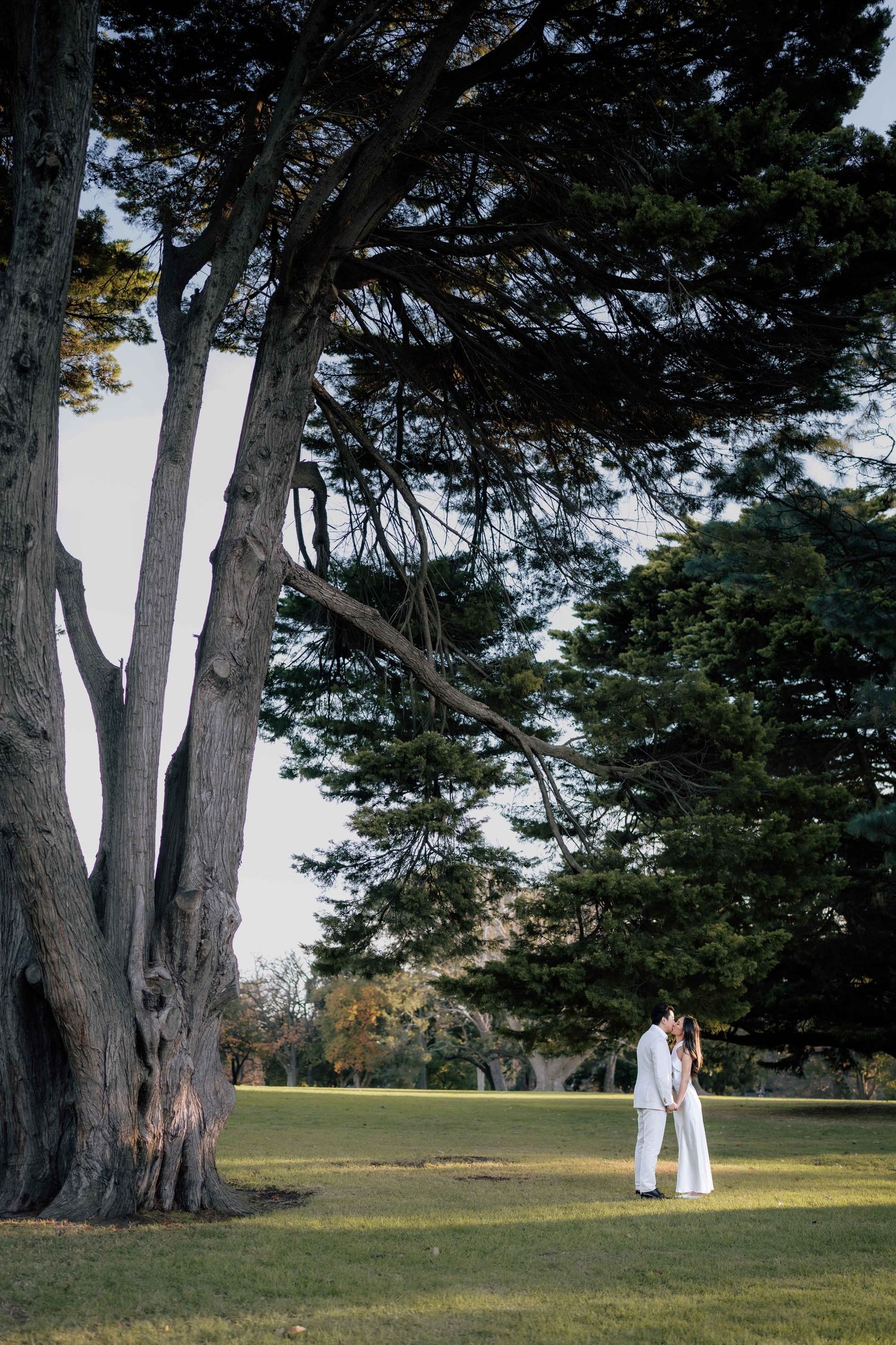 Couple in white wedding attire share a kiss beneath large cypress trees on a green lawn.